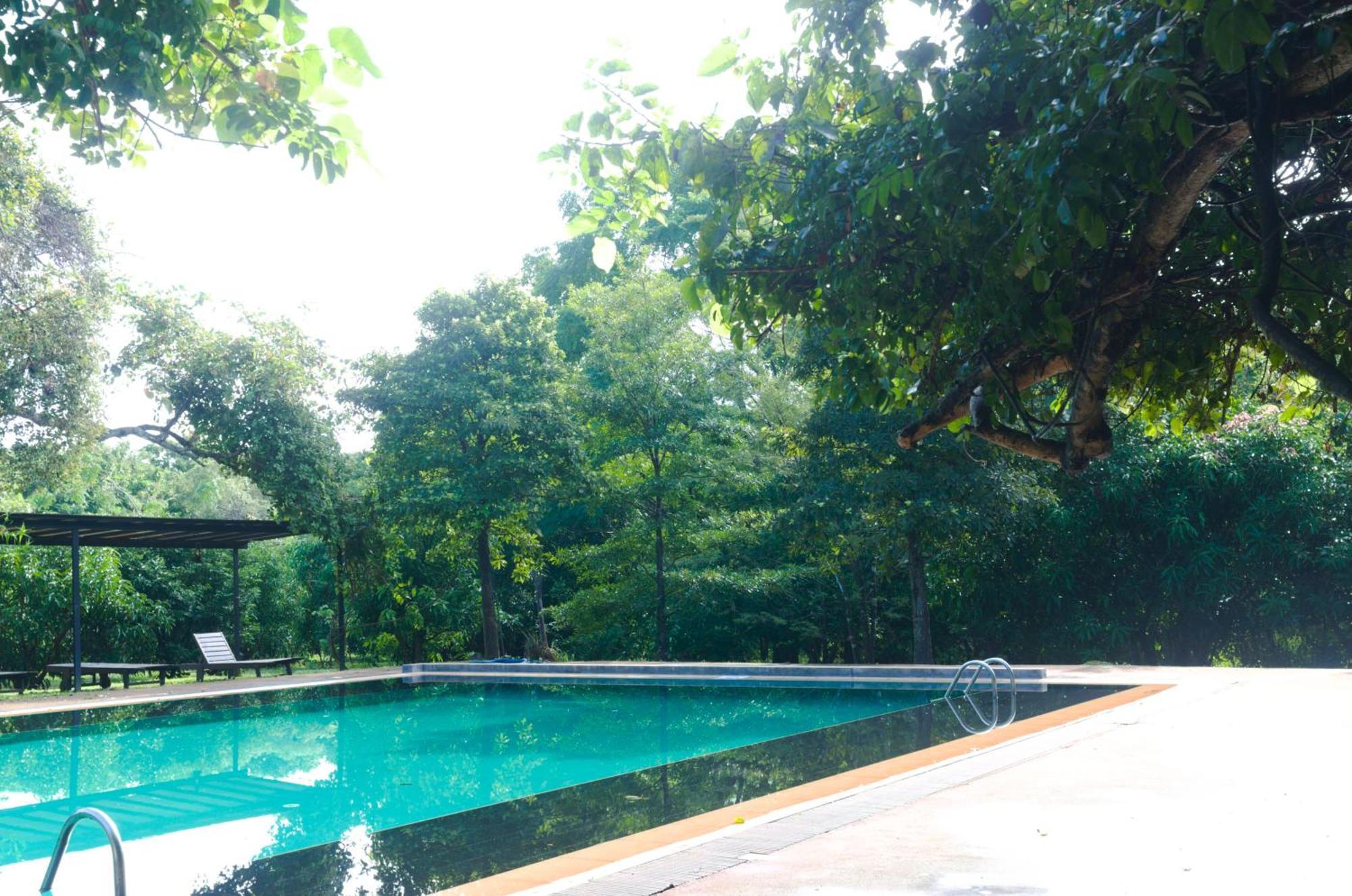 Pinthaliya Resort Sigiriya Exterior photo