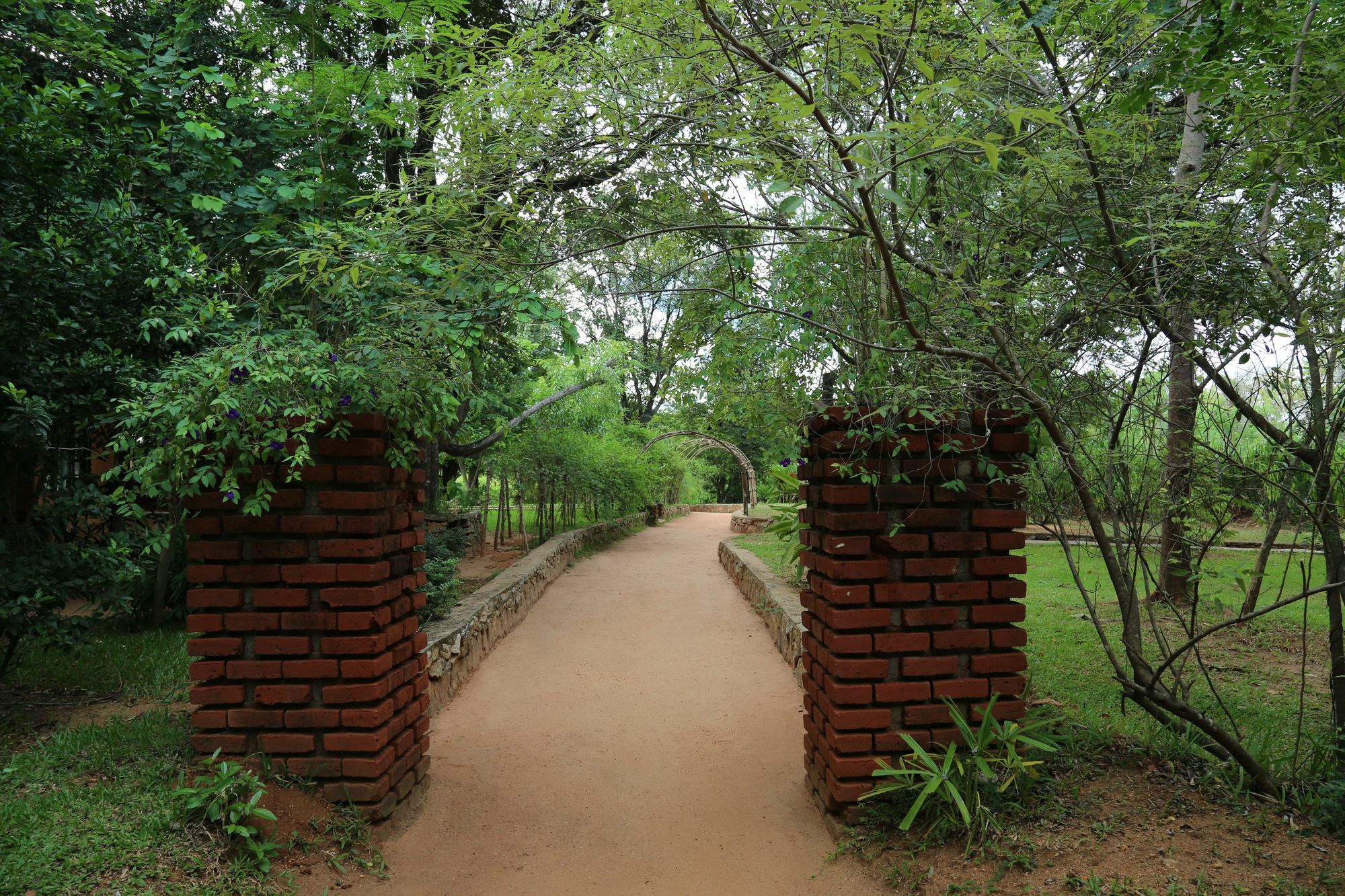 Pinthaliya Resort Sigiriya Exterior photo